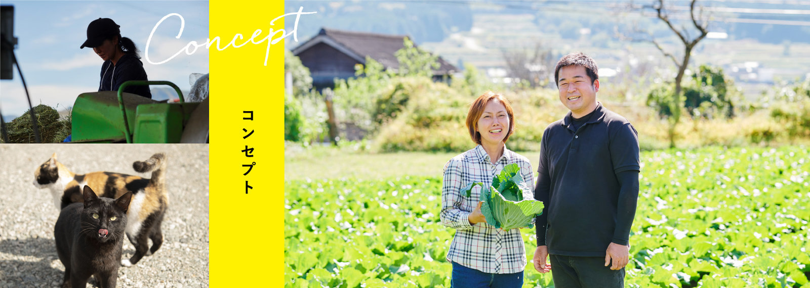 熊本県南阿蘇にある民宿なかむら牧場のコンセプト