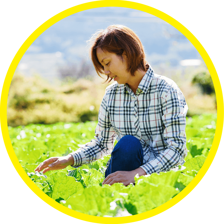 熊本の郷土料理が得意な民宿の料理長