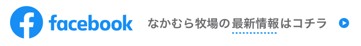 facebookはこちら