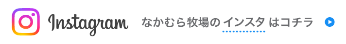 インスタグラムはこちら