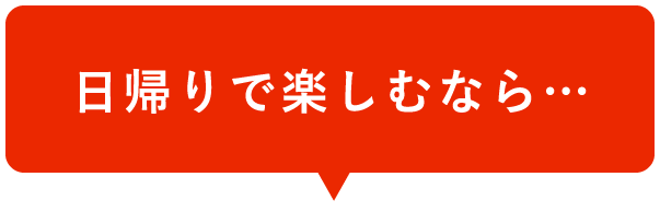熊本 阿蘇の大自然や動物のふれあいを日帰りで楽しむ