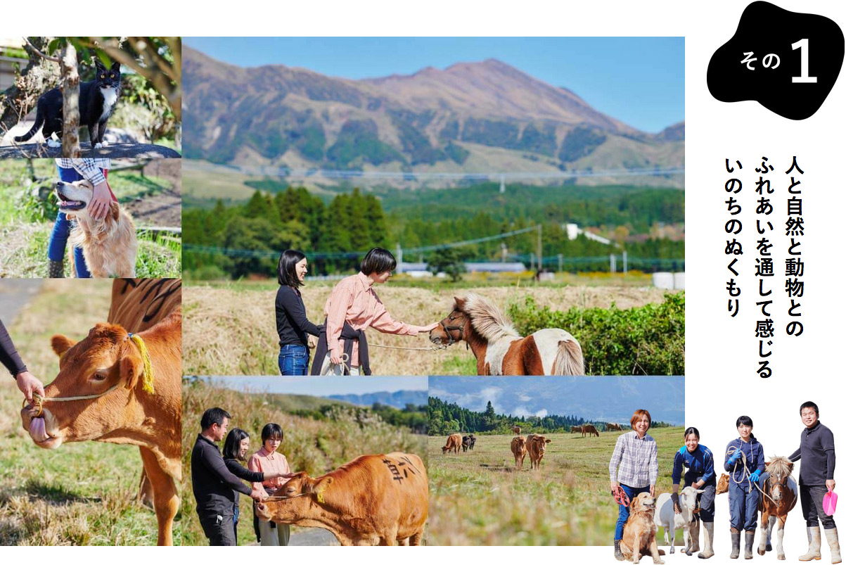 人と自然と動物とのふれあいを通して感じるいのちのぬくもり