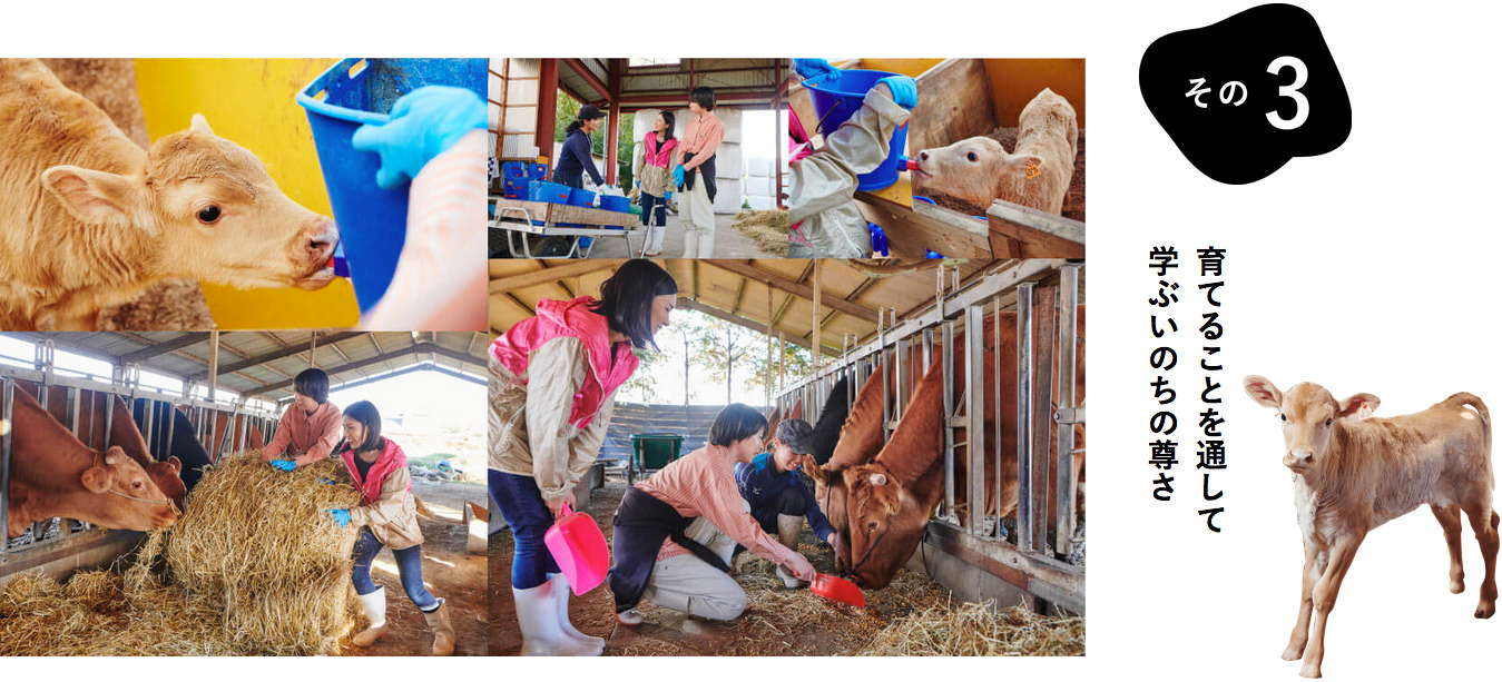 育てることを通して学ぶいのちの尊さ