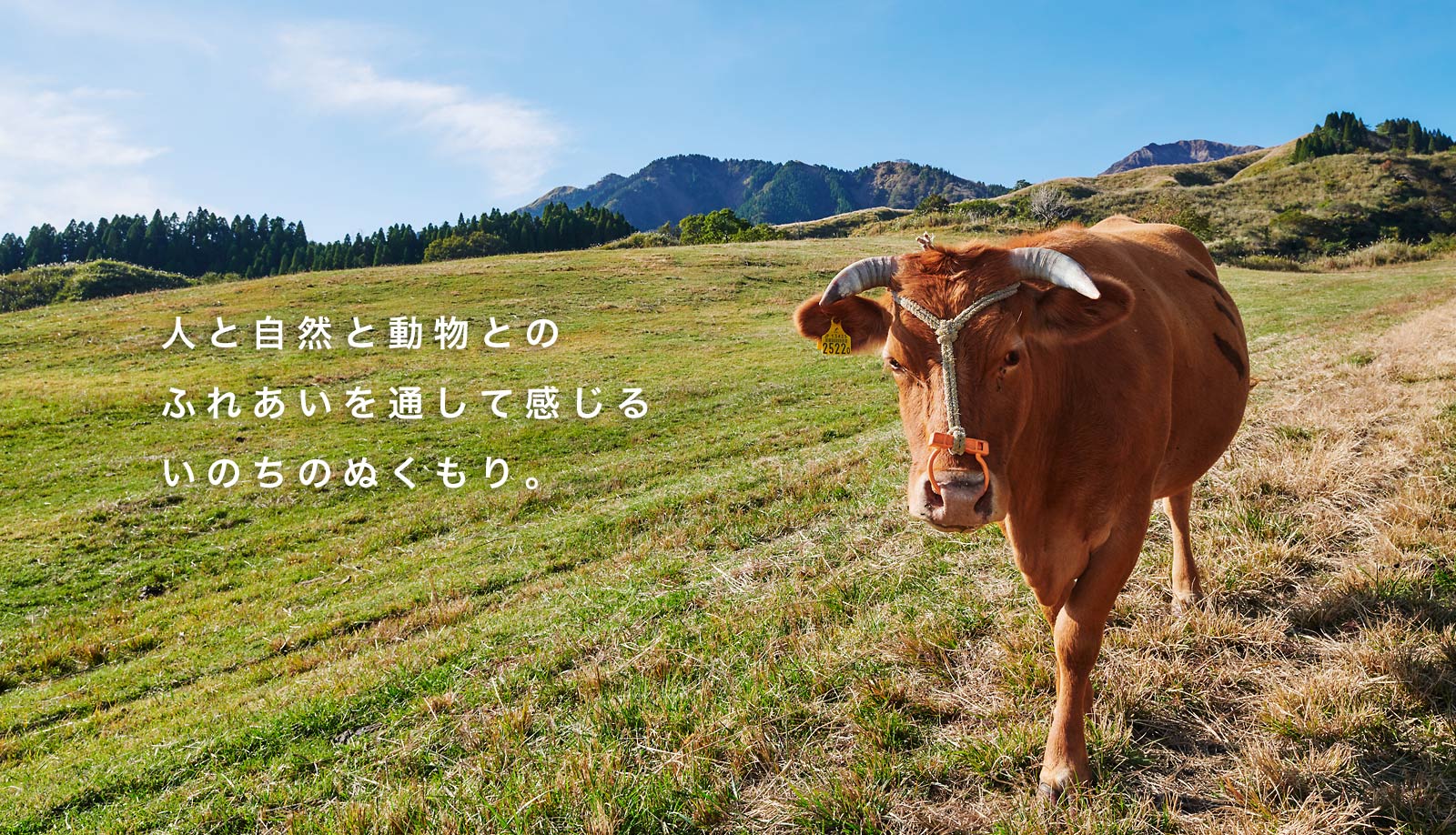 熊本で人と自然と動物とのふれあいを通して感じるいのちのぬくもり