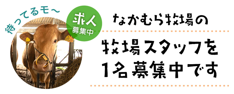 求人募集バナー