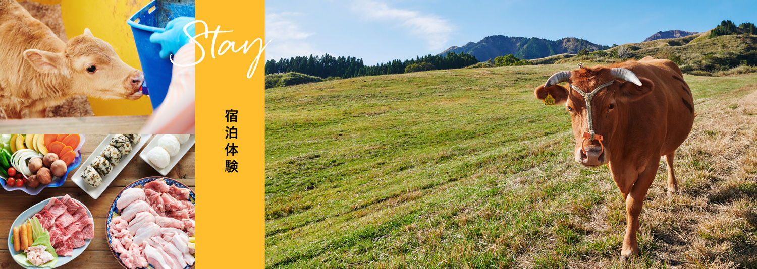 熊本 阿蘇にある民宿牧場での宿泊体験