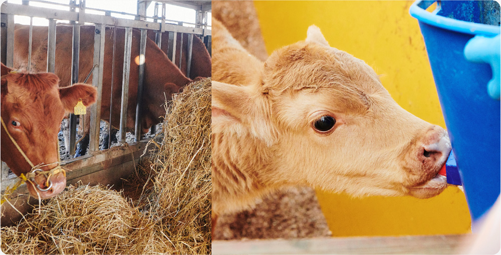 準備をしてエサやり体験スタート